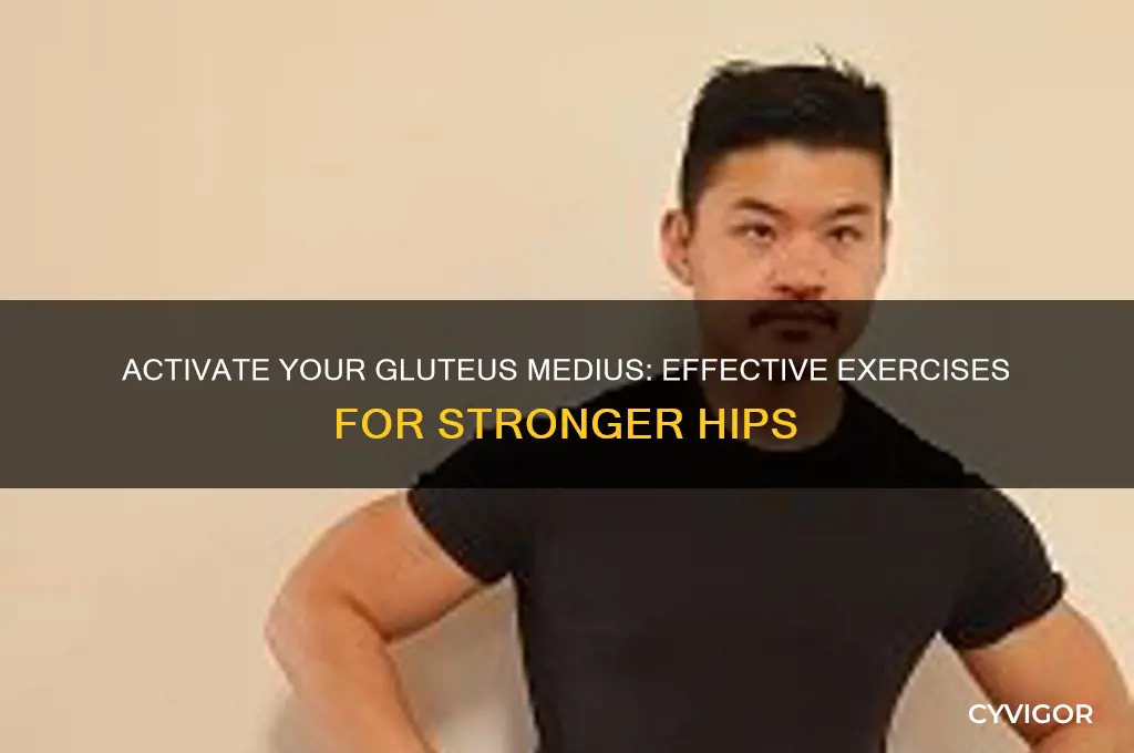 how to work your gluteus medius muscle