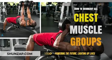 Complete Chest Workout Guide: Targeting All Muscle Groups Effectively