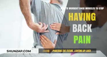 Strengthen Your Back: Effective Workouts to Relieve and Prevent Pain