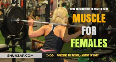 Effective Gym Workouts for Women to Build Muscle and Strength