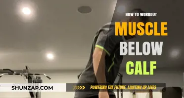 Strengthening Your Lower Legs: A Guide to Calf and Shin Workouts
