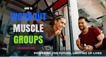 Effective Muscle Group Workouts: Strategies for Balanced Strength Training