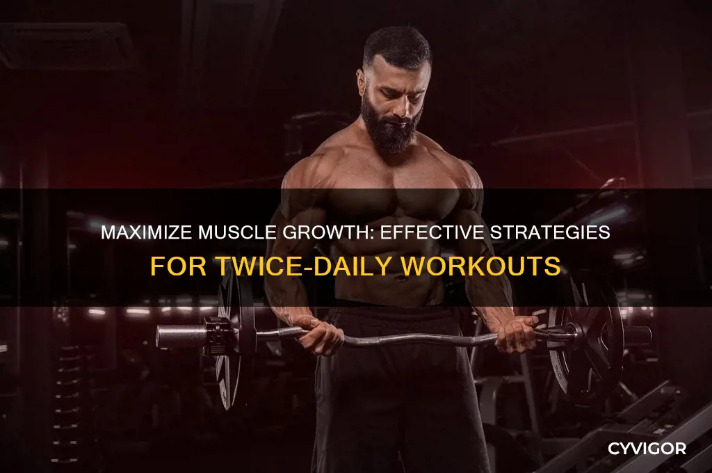 how to workout twice a day for muscle gain