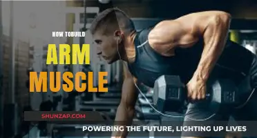 Effective Arm Muscle Building: Tips, Exercises, and Strategies for Strength
