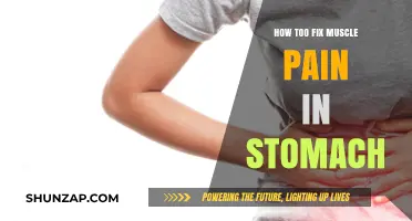 Effective Remedies to Relieve and Prevent Stomach Muscle Pain