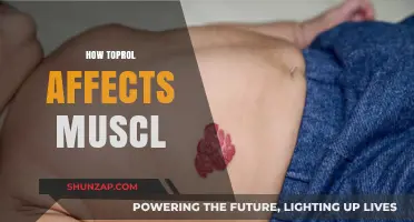 Exploring the Impact of Propranolol on Muscle Function and Performance