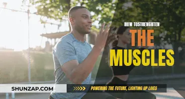 Build Muscle Strength: Effective Strategies for Powerful Results