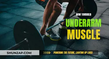 Building Underarm Muscle: A Comprehensive Guide