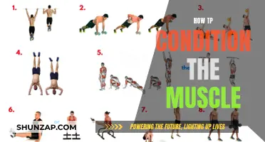 Conditioning Muscles: Strategies for Strength and Endurance