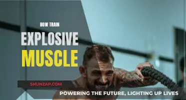 Explosive Muscle Training: Unlocking Power and Strength