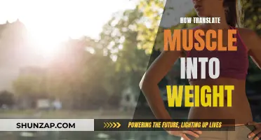 Muscle Mass Gain: Translating Effort into Weight