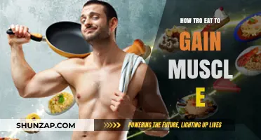 Fuel Your Gains: Smart Eating Strategies for Building Muscle Mass