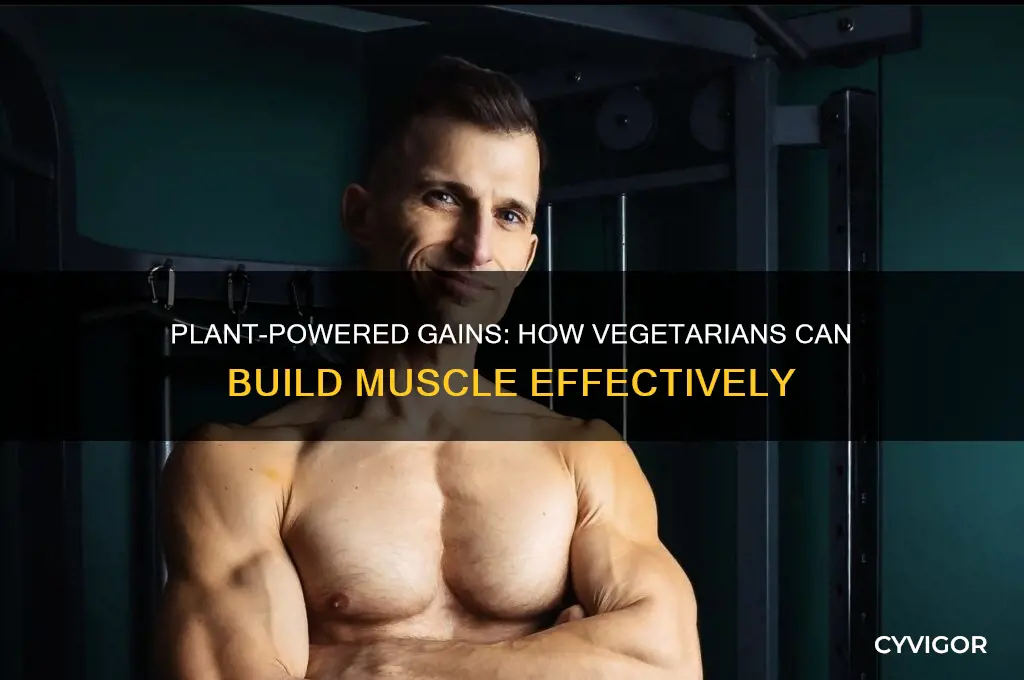 how vegetarians gain muscle