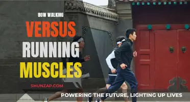Walking vs Running: Muscle Usage and Benefits Explored