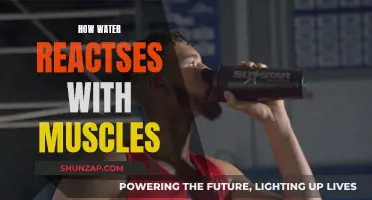 Water's Impact on Muscles: Hydration and Performance