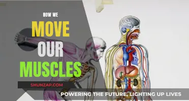 The Magic of Movement: Unlocking Muscle Power