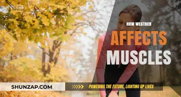 Unveiling the Impact: How Weather Conditions Influence Muscle Health