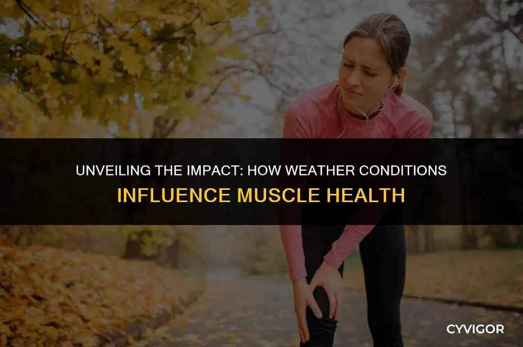 how weather affects muscles