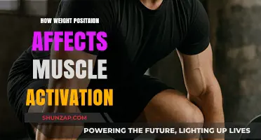 Optimizing Muscle Engagement: The Impact of Weight Position