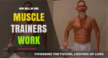 Do EMS Muscle Trainers Deliver Real Results? A Comprehensive Review