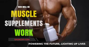 Do Muscle Supplements Deliver Results? Separating Fact from Fiction