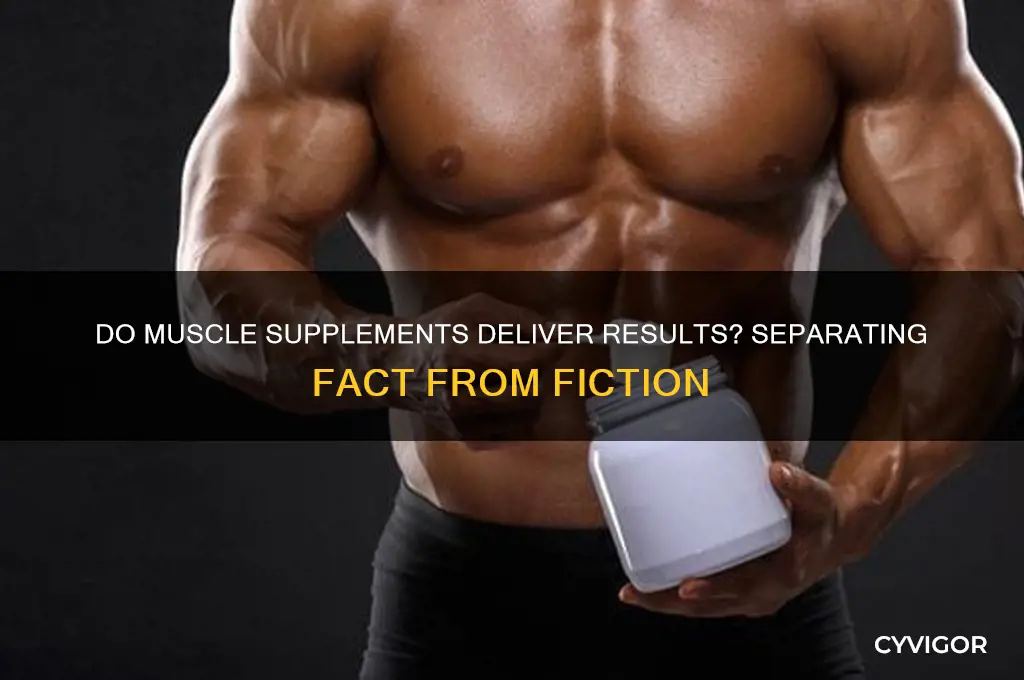 how well do muscle supplements work