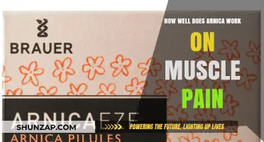 Arnica for Muscle Pain: Effectiveness and Benefits Explained