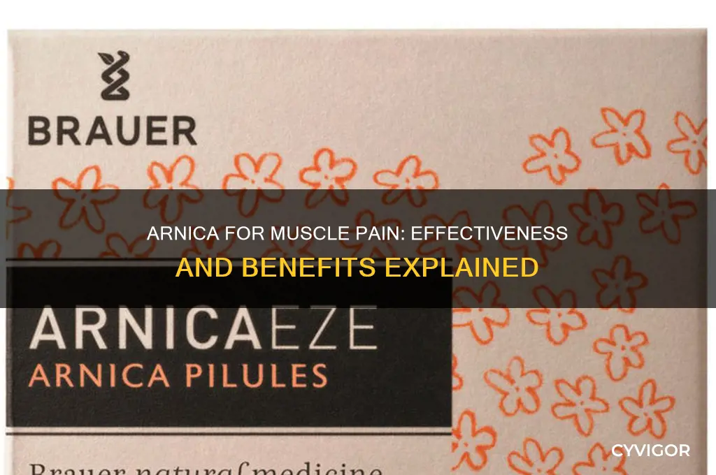 how well does arnica work on muscle pain