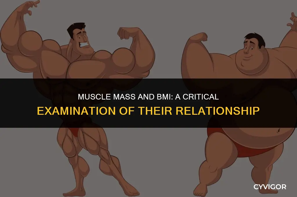 how well does bmi do with muscle affect