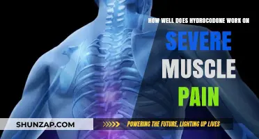 Hydrocodone's Effectiveness in Relieving Severe Muscle Pain: What to Expect