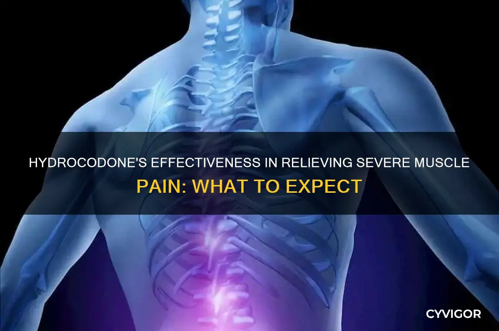 how well does hydrocodone work on severe muscle pain