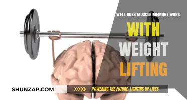 Muscle Memory in Weightlifting: How Effective Is It Really?