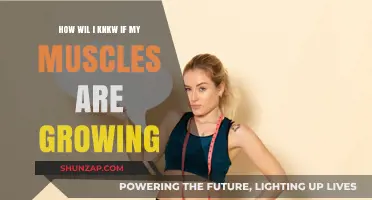 Signs Your Muscles Are Growing: Tracking Progress and Strength Gains