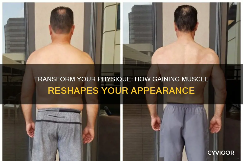how will be my looks like if i gain muscle