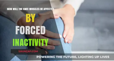 The Impact of Forced Inactivity on Knee Muscles: A Comprehensive Guide