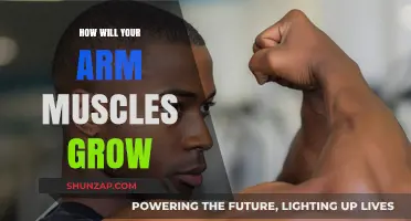 Unlocking Arm Muscle Growth: Effective Strategies for Bigger, Stronger Arms