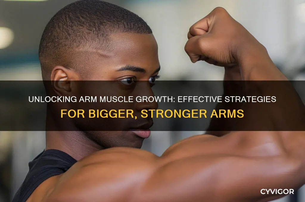 how will your arm muscles grow