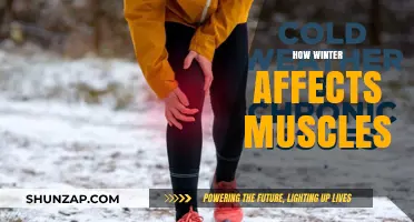 Chilling Insights: How Winter Impacts Your Muscles