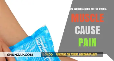 Cold Breeze, Muscle Pain: The Mystery Unveiled