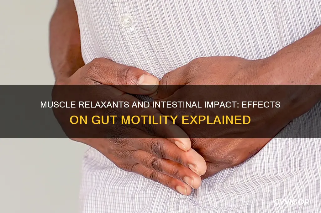 how would a muscle relaxant affect the intestines
