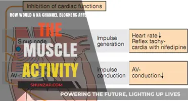 Impact of Sodium Channel Blockers on Muscle Activity: A Comprehensive Guide