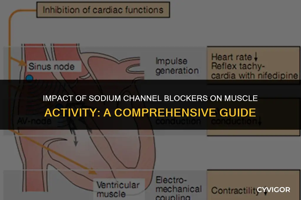how would a na channel blockers affect the muscle activity