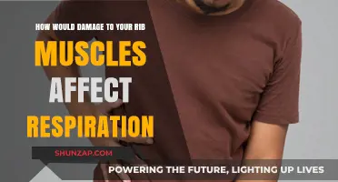 Impact of Rib Muscle Damage on Breathing: A Comprehensive Guide