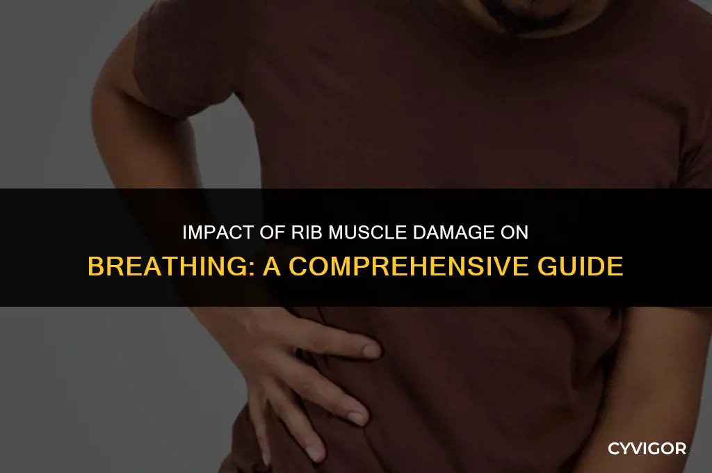 how would damage to your rib muscles affect respiration