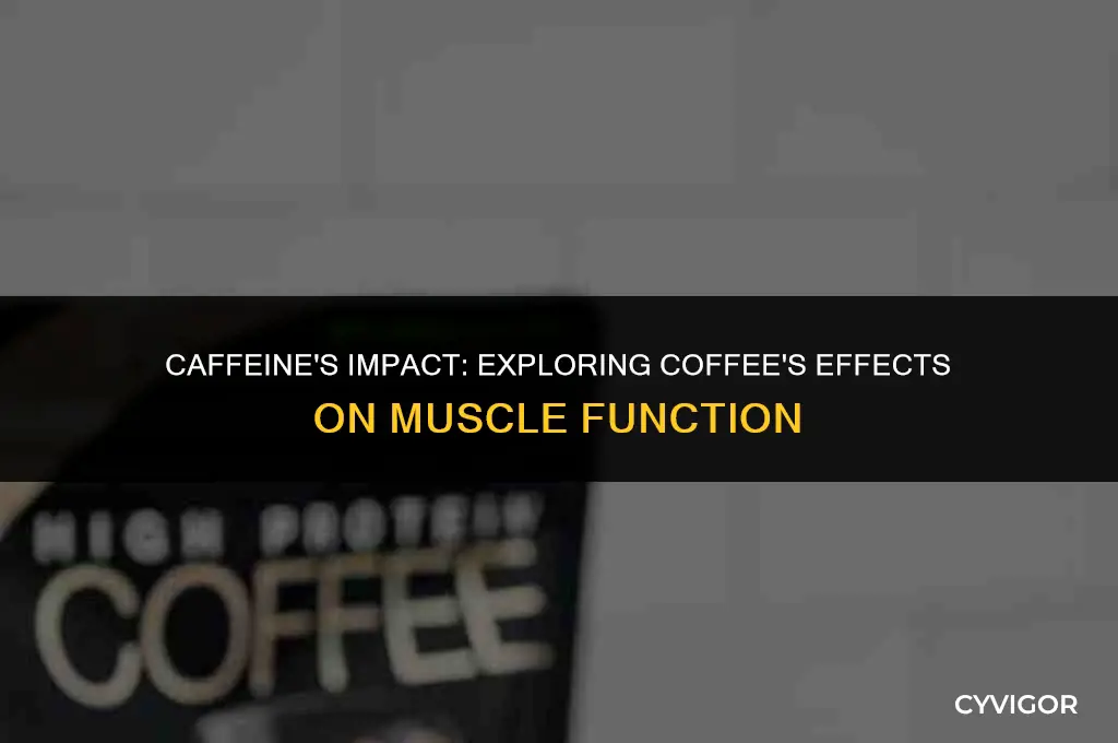 how would drinking several cups of coffee affect muscle function