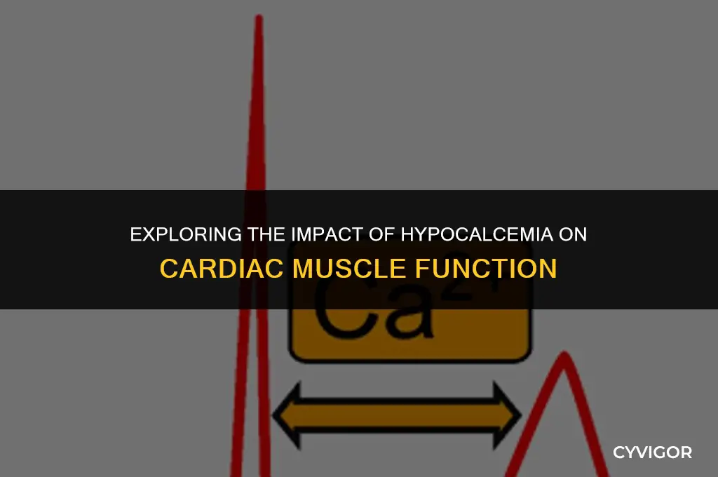how would hypocalcemia affect cardiac muscle