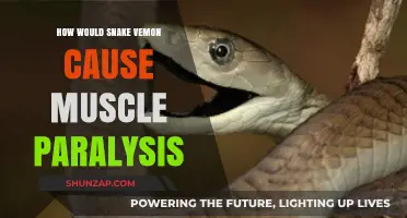 Snake Venom: Paralyzing Muscles and How?