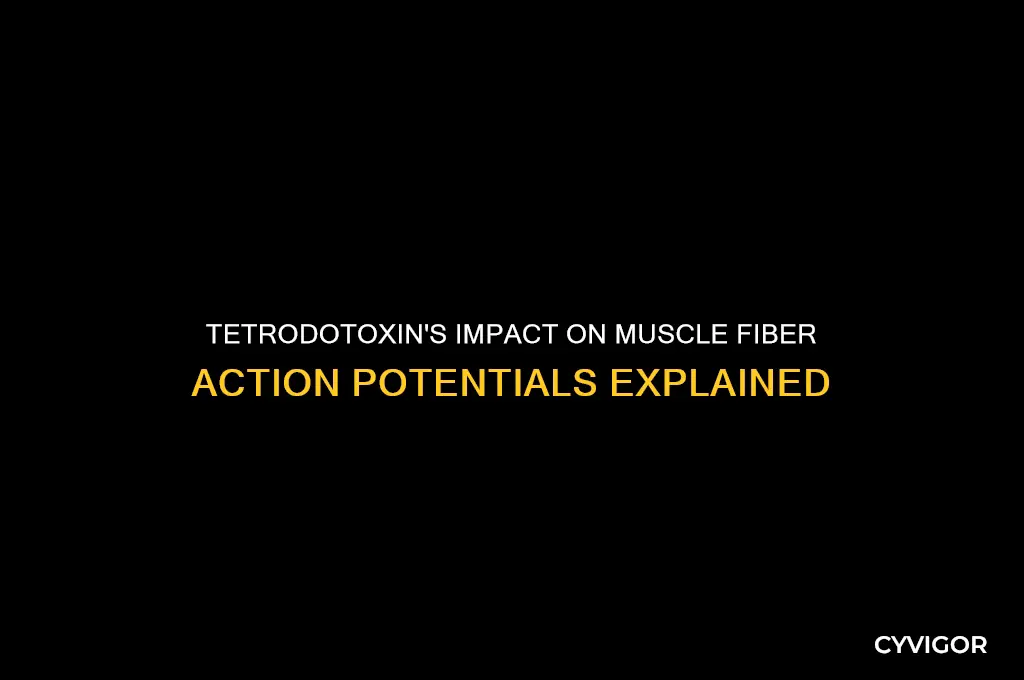 how would tetrodotoxin affect muscle fiber action potentials