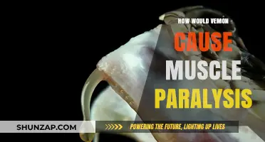 Venom's Muscle Paralysis: A Toxic Cocktail