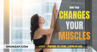 Yoga's Muscle-Changing Magic: Flexibility and Strength